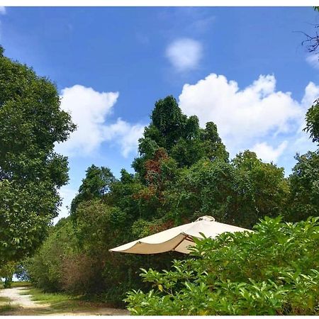 Tropical Resort Лангкави Экстерьер фото