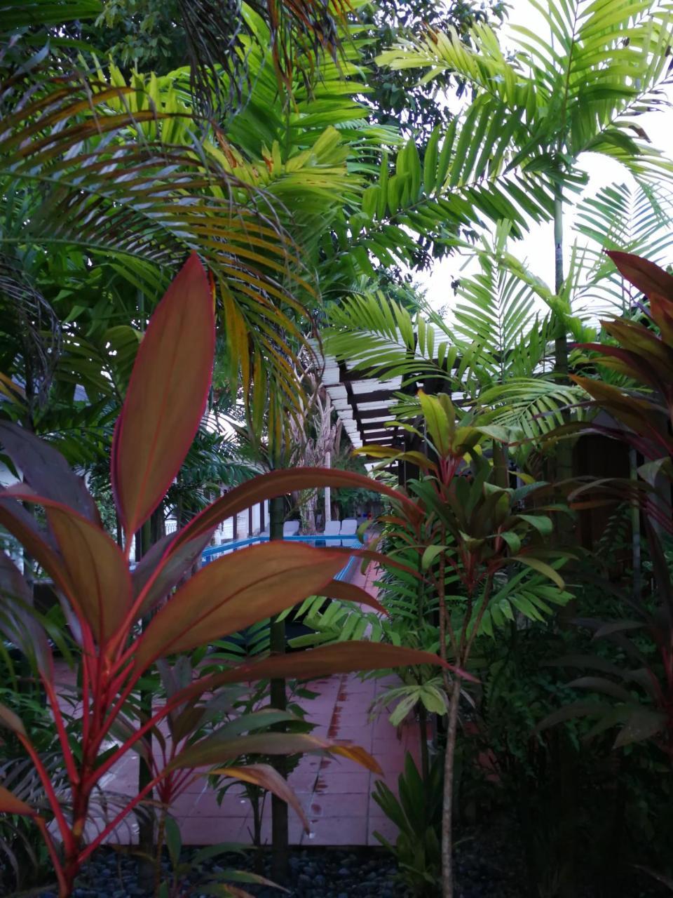 Tropical Resort Лангкави Экстерьер фото